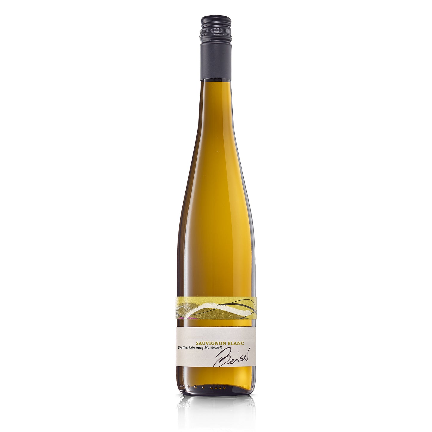 2025 Sauvignon Blanc Wallertheim Muschelkalk trocken